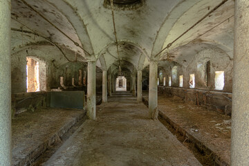 Obraz premium Stable animals breeding farmhouse