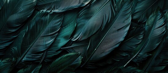 Vintage feather texture background in a stunning dark green viridian hue