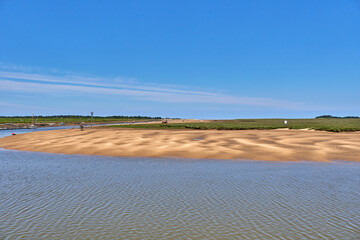 Beach and salt marsh at low tide