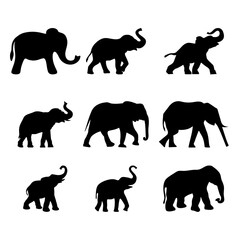 Collection of black and white elephants in various re-editable poses