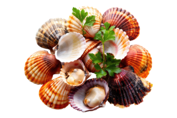 Shellfish medley isolated on transparent background