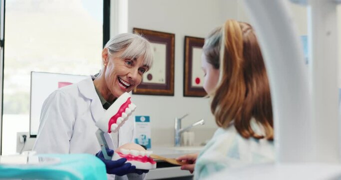 Dentist, child and brushing teeth model for hygiene education, dental learning or oral brush of cleaning demonstration. Woman, girl and typodont of teaching routine, interactive lesson and mouth care