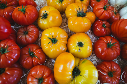 Organic tomatoes in bulk for sale in a store or on the market.