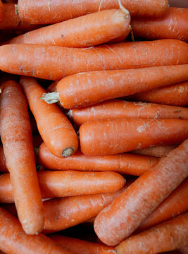 Bulk raw carrots close-up in a stall
