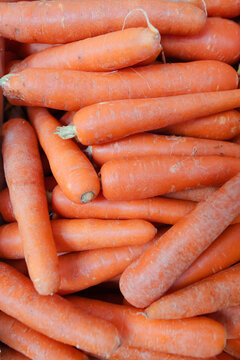 Bulk raw carrots close-up in a stall