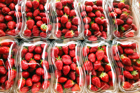 Tray of organic strawberries on sale in a store or on the market