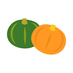 西洋カボチャ。フラットなベクターイラスト。
Buttercup squash. Flat vector illustration.
