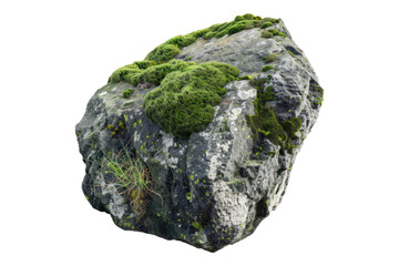 Natural mossy stone isolated on transparent background