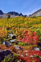 紅葉の北アルプス涸沢カール