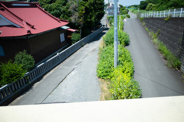 雑草が生い茂る田舎の通り