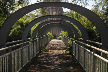 Obraz premium A long bridge in the middle of the forest, stretching into the distance. There are metal curved arches over the bridge. The place is unkempt, dirty and abandoned. A post-apocalyptic landscape.