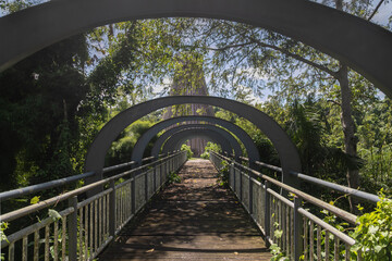 A long bridge in the middle of the forest, stretching into the distance. There are metal curved arches over the bridge. The place is unkempt, dirty and abandoned. A post-apocalyptic landscape.