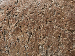 A brown rock with a lot of texture and a few small holes. The rock is rough and uneven, with a few small pieces of wood sticking out of it. Scene is rugged and natural