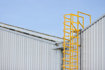 A yellow ladder is attached to a building