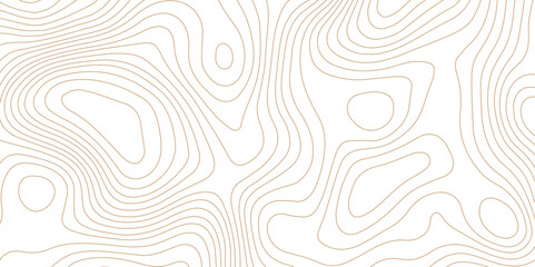 Abstract topographic contour map and geographic mountain relief background design .topography contour map white wave paper and curve brown color lines vector background .