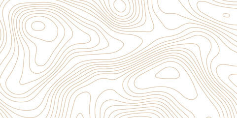 Abstract topographic contour map and geographic mountain relief background design .topography contour map white wave paper and curve brown color lines vector background .