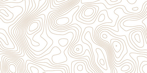 Abstract topographic contour map and geographic mountain relief background design .topography contour map white wave paper and curve brown color lines vector background .