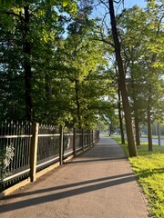 path in the park