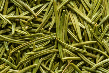 spruce needles texture in detail