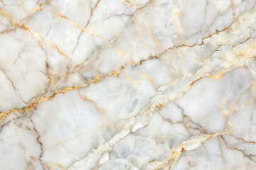 Texture of white marble with gold veins, close-up.