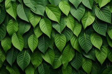 Obraz premium Leaves Material Structure Background - Generative AI