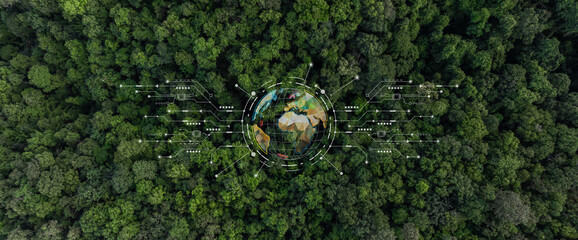 Aerial view green forest tree texture and background with globe earth planet, Natural green forest tree background with globe, Save earth global warming ecosystem and natural environment.