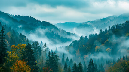 Fine fog rising over the trees in the mountains on a beautiful morning