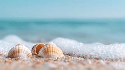 Close-up of seashells on seashore, beach holiday scene, perfect for summer vacation promotions, vivid details