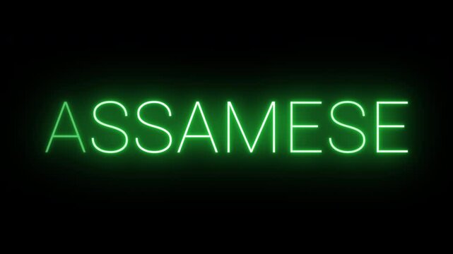 Flickering neon green glowing Assamese text animated on black background