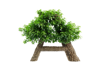 A tree with a trunk that is shaped like the letter A