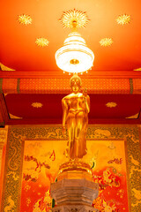 Phra Phuttha Patimakorn is a beautiful and sacred Buddha image. It is popular among Buddhists who come to pay homage when visiting Wat Phra Mahathat Chedi Phakdi Prakat.