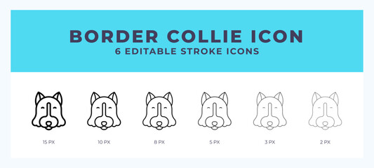 Border collie vector icon. With different stroke vector illustration.