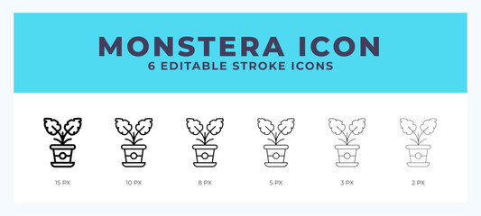 Monstera vector icon for web and app. Editable stroke vector illustration