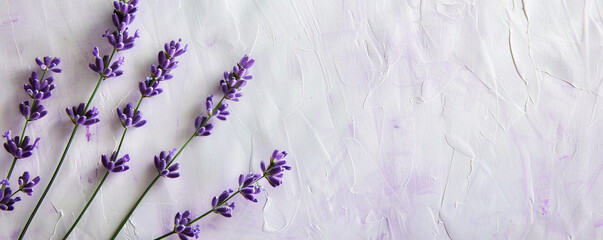Create an HD photograph of a blank lavender paper poster texture, capturing the softness and serenity of its color palette.