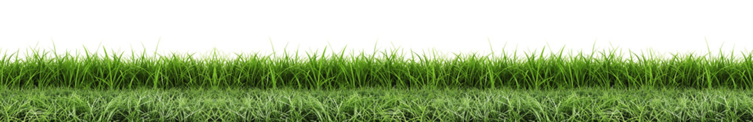 Obraz premium Green grass Concept with PNG Transparent Background.