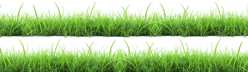 Fototapeta premium Green grass on transparent background. Spring or summer plant layout concept