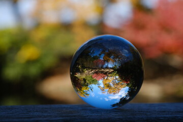 水晶玉に映る紅葉