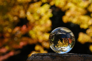 水晶玉の秋