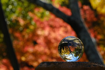 紅葉と水晶玉