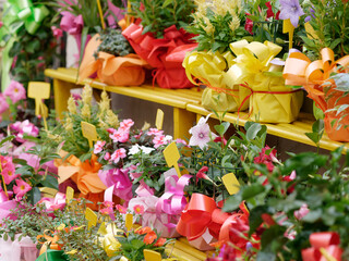 detail of beautiful plants displayed outside by a florist