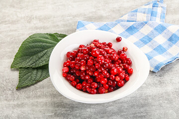 Ripe sweet wild organic cowberry