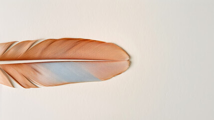 Solitary feather in soft earth tones gently floating against a serene pastel background and calm ambiance watercolour illustration 