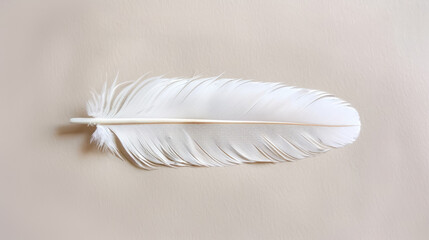 Obraz premium Solitary feather in soft earth tones gently floating against a serene pastel background and calm ambiance watercolour illustration 