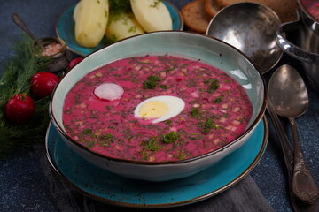 Traditional Belorussian, Latvian, Lithuanian, Polish, Russian and Ukrainian Beetroot cold creamy soup with cucumber, radish, potatoes and egg . Summer soup concept