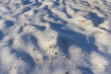 drifts of pure white snow after a snowfall