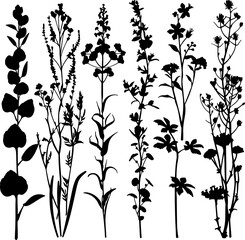Hand drawn flower silhouettes Illustration