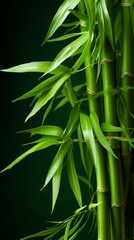 Naklejka premium Bamboo Material Structure Background - Generative AI