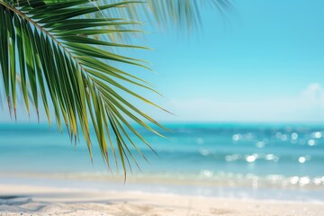 Palm leaves on a blurred sea background