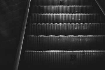 Ascending Shadows