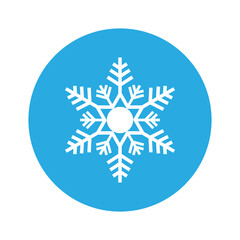 Snowflake icon vector. Winter illustration sign. Cold illustration symbol. 